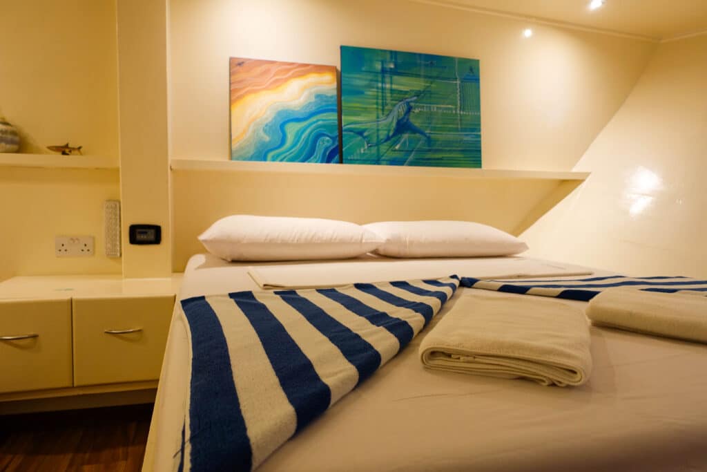 Cabine dupla aconchegante com toalhas listradas e obras de arte marinhas em uma viagem de mergulho ao vivo nas Maldivas.