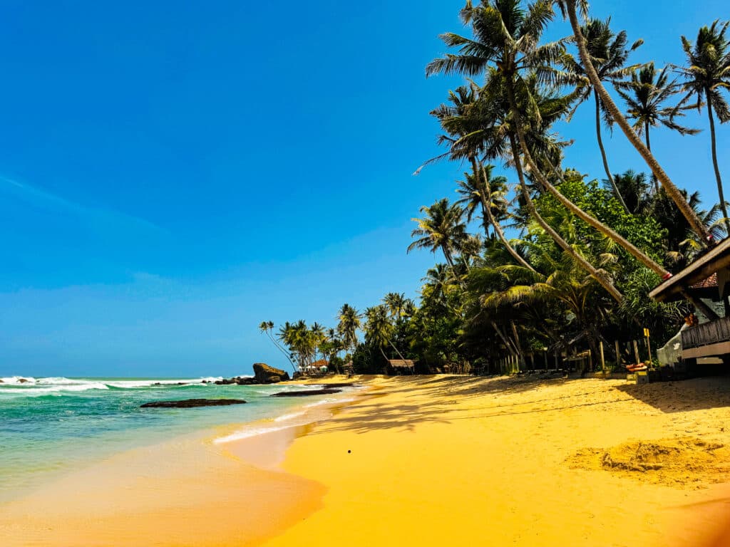 Palm-lined beach in Unawatuna with calm blue water and clear skies during Sri Lanka’s south coast dry season.