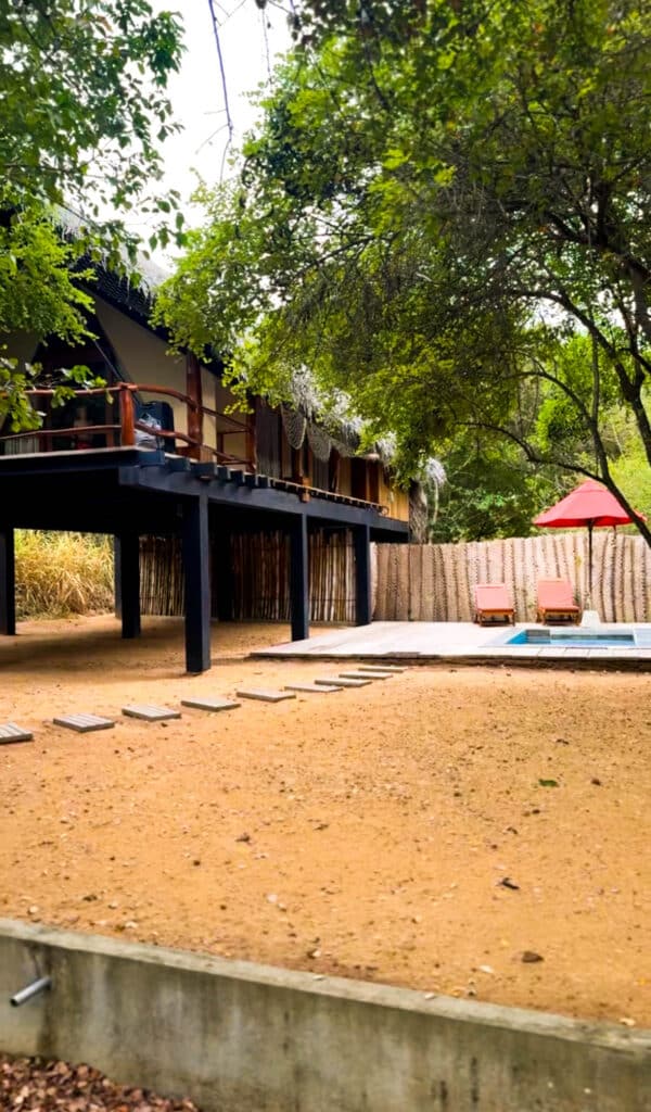 ¿Nos volveríamos a alojar en Thamaravila Wilpattu? Nuestra honesta reseña de safari 1 Chalet elevado en Thamaravila Wilpattu rodeado de árboles, que muestra el tranquilo entorno forestal del lodge.