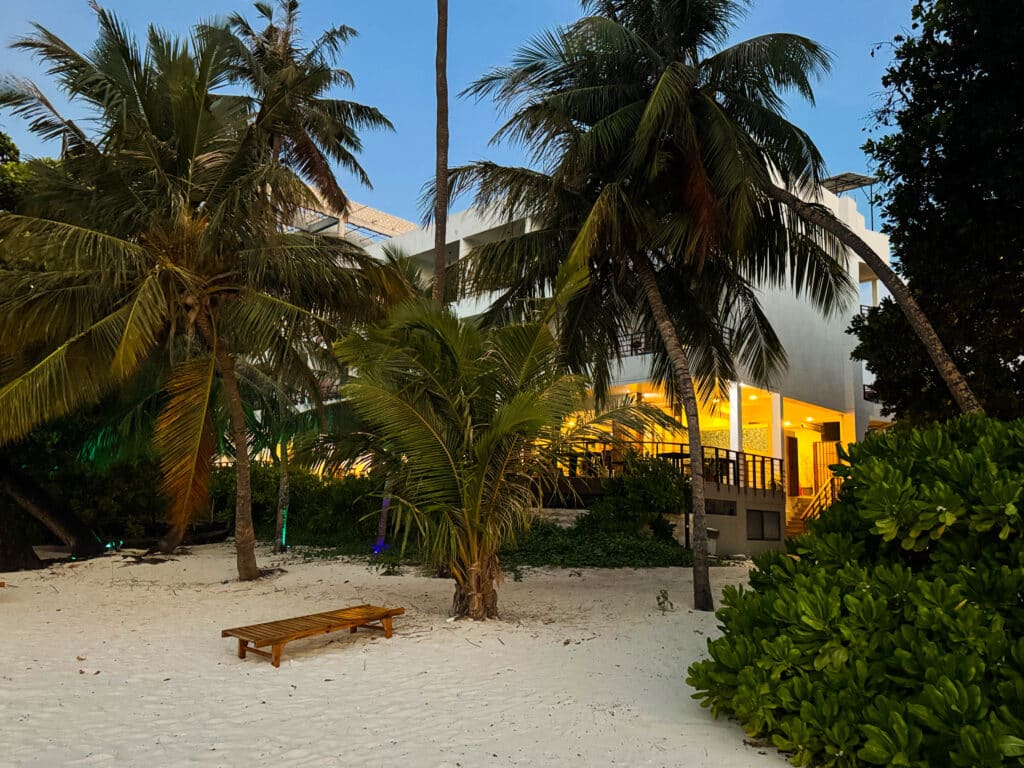 Beachfront guesthouse in Dharavandhoo Maldives glowing warmly behind palm trees on the white sand at dusk.