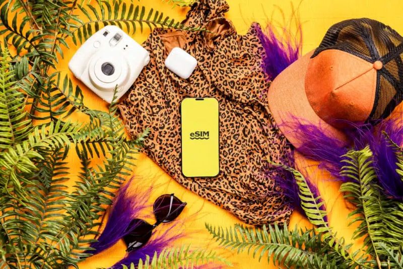스리랑카 여행 가이드: 비자 요건, 예방 접종 및 현지 여행 팁 9 flatlay photo of travel essentials