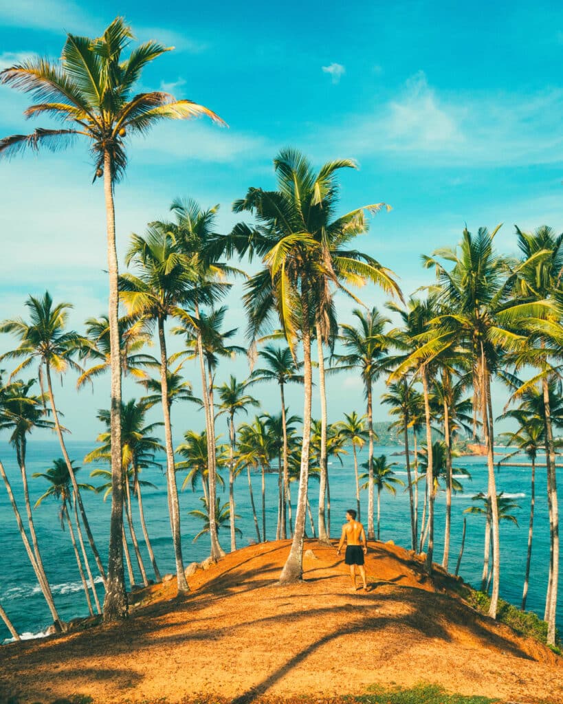 Les meilleures villes à visiter au Sri Lanka : un guide pratique des régions, itinéraires et points de chute 11 Palmiers surplombant l'océan à Coconut Tree Hill à Mirissa, avec un sentier côtier et une vue sur la mer dans le sud du Sri Lanka.