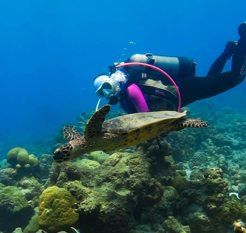 Scuba Diver en las Maldivas Explorando un arrecife de coral con una tortuga marina en un vibrante sitio de buceo para las maldivas Guía de buceo Los mejores sitios de buceo.