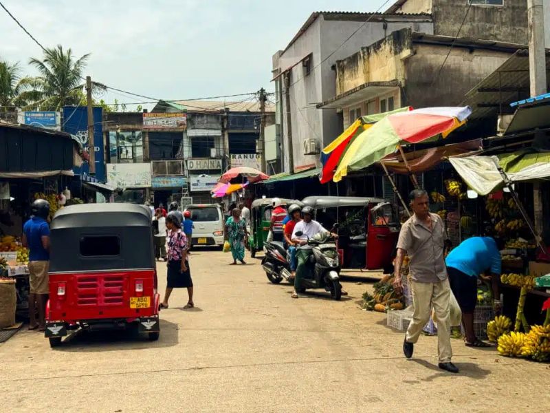스리랑카 여행 가이드: 비자 요건, 예방 접종 및 현지 여행 팁 5 strolling around the city of sri lanka