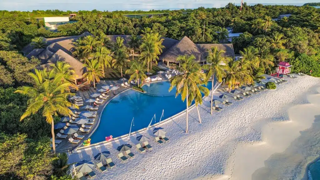 Los mejores resorts económicos en Maldivas: 10 opciones asequibles 11 Imagen 1 — Ifuru Island Maldives (Piscina y playa desde el aire)
Texto alternativo:
vista aérea de una piscina curva del resort y una playa blanca bordeada de palmeras con tumbonas