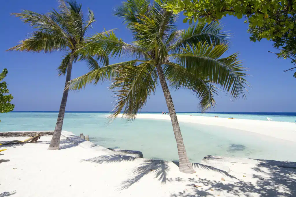 Los mejores resorts económicos en Maldivas: 10 opciones asequibles 6 dos palmeras inclinadas sobre una playa de arena blanca y una laguna turquesa con un banco de arena