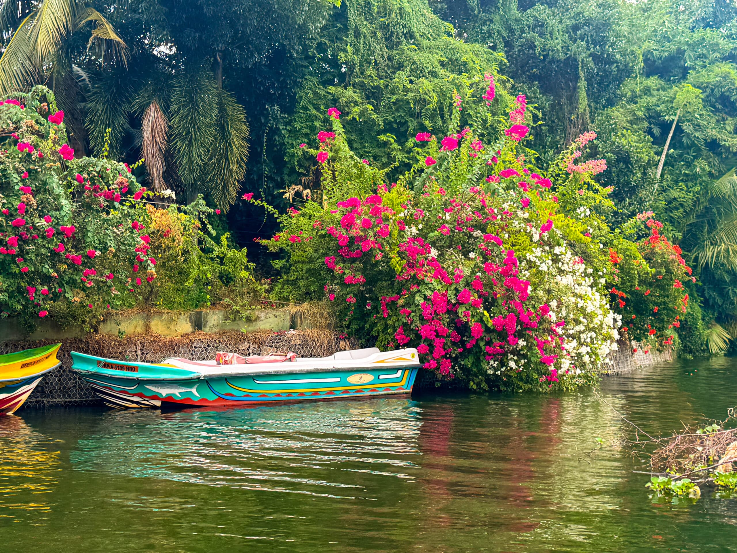Sri Lanka Weather in April: Complete Travel Guide & Climate Overview 7 Colourful wooden boat moored along a calm Dutch canal lined with tropical flowers.