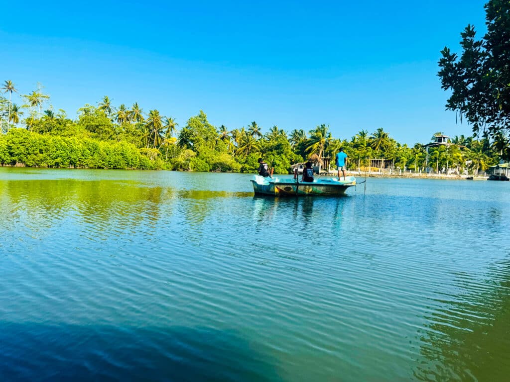 ウナワツナ スリランカの近くのヤシの木とマングローブが並ぶ静かなラグーンを、小さなボートが滑空します。