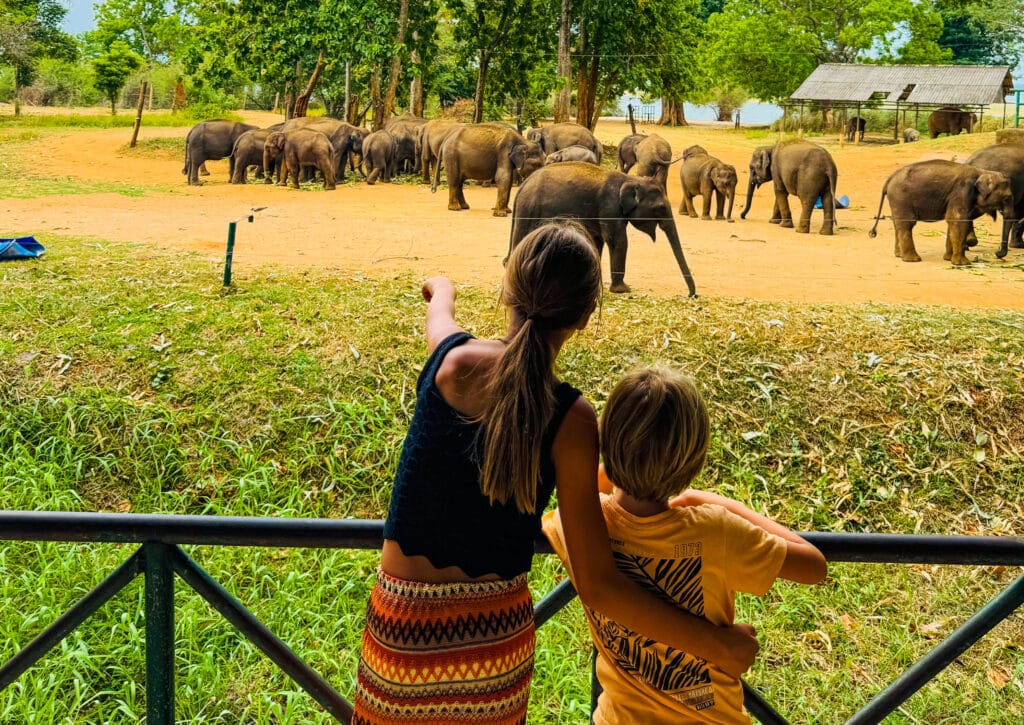Udawalawe National Park: il posto migliore per vedere gli elefanti in Sri Lanka 3 Madre e figlio che osservano una grande mandria durante un safari con elefanti a Udawalawe.