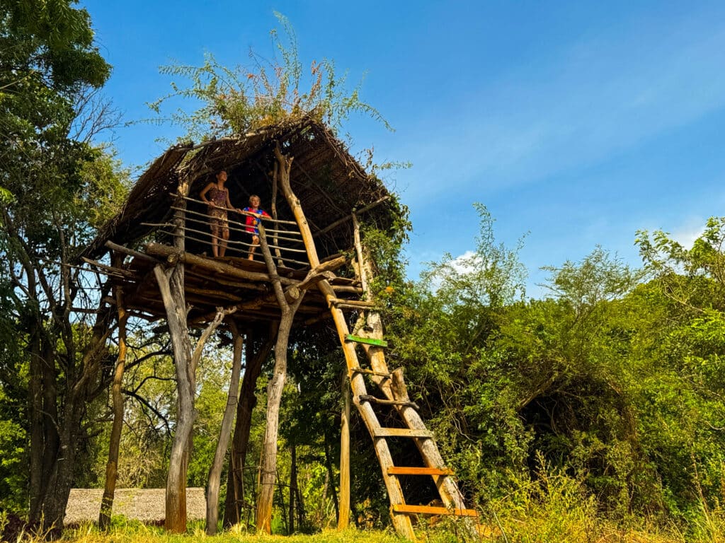 Mother and child standing in a rustic wooden treehouse above the surrounding bushes.