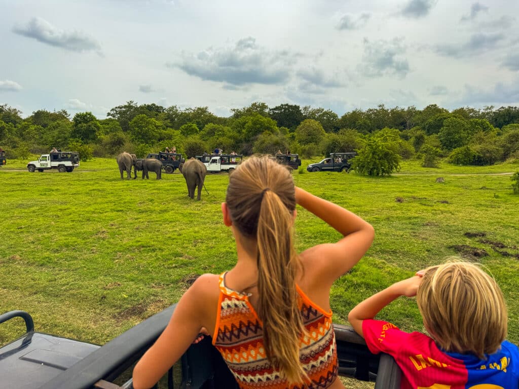 Kids on a Sri Lanka safari watching wild elephants from jeeps in a grassy field.