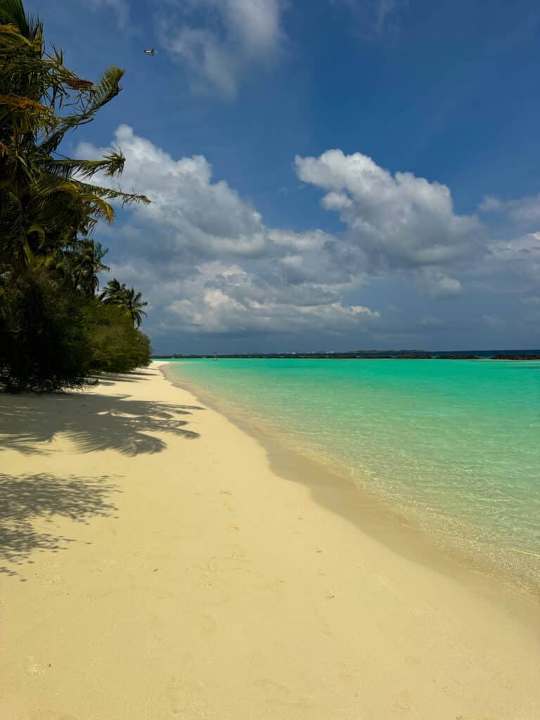 Shaded tropical beach with soft white sand and turquoise lagoon on a tranquil sandbank maldives.
