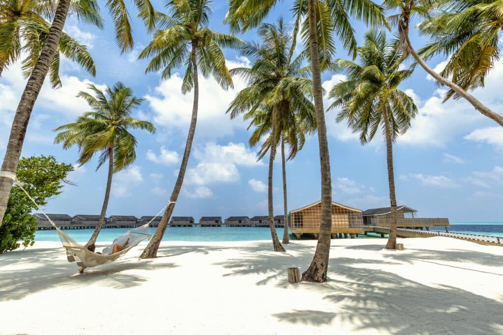 Palm trees arching over a white sand beach with overwater villas in the distance.