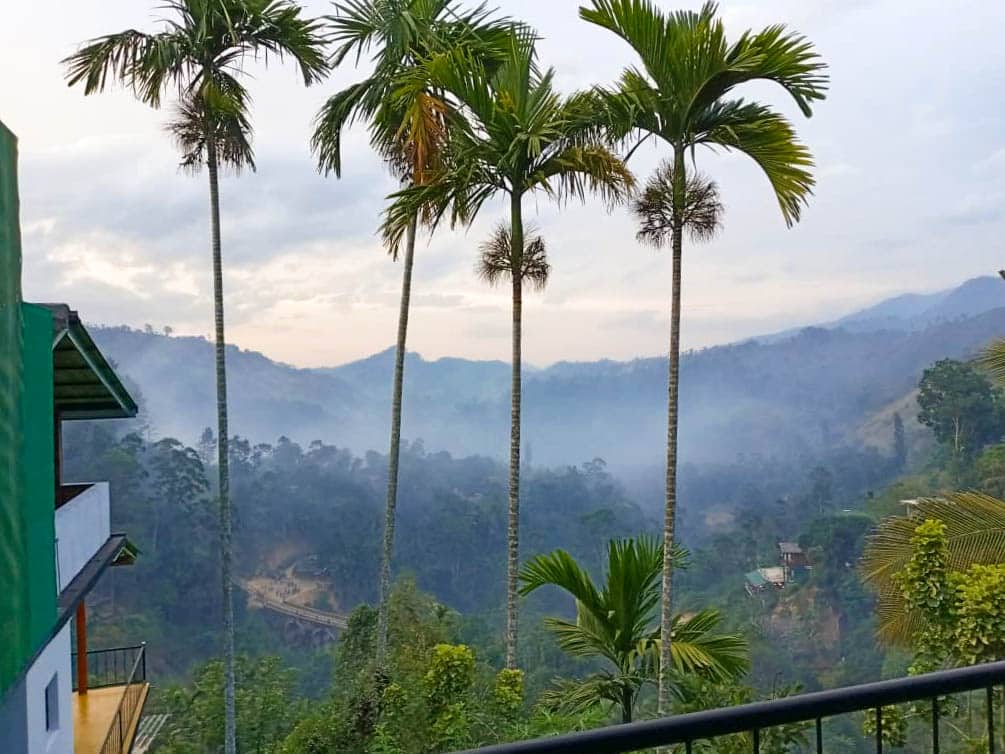 Misty mountain valley framed by tall palms and forested slopes at dawn.
