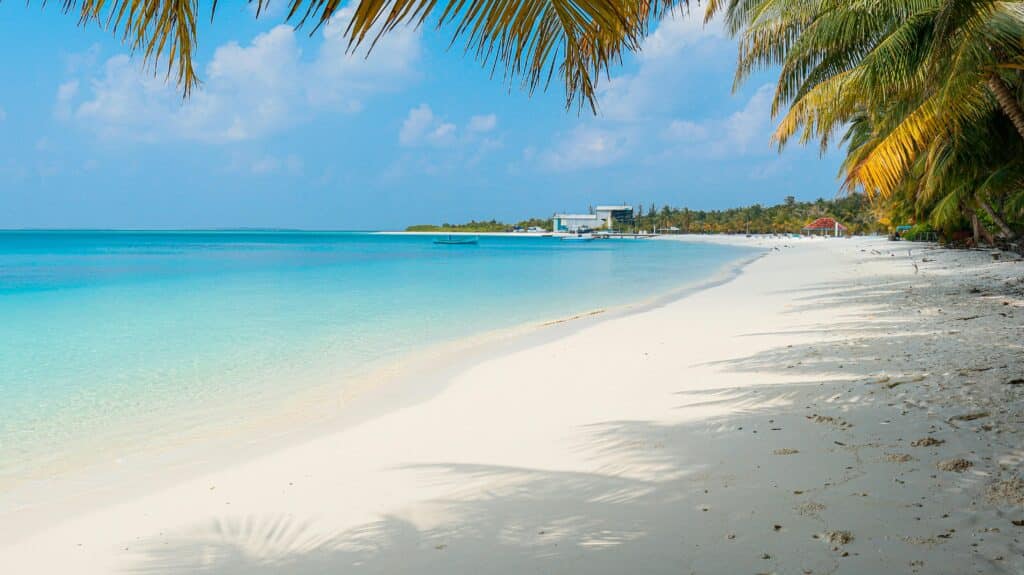 Long palm-fringed bikini beach with calm turquoise lagoon on a Maldivian local island.