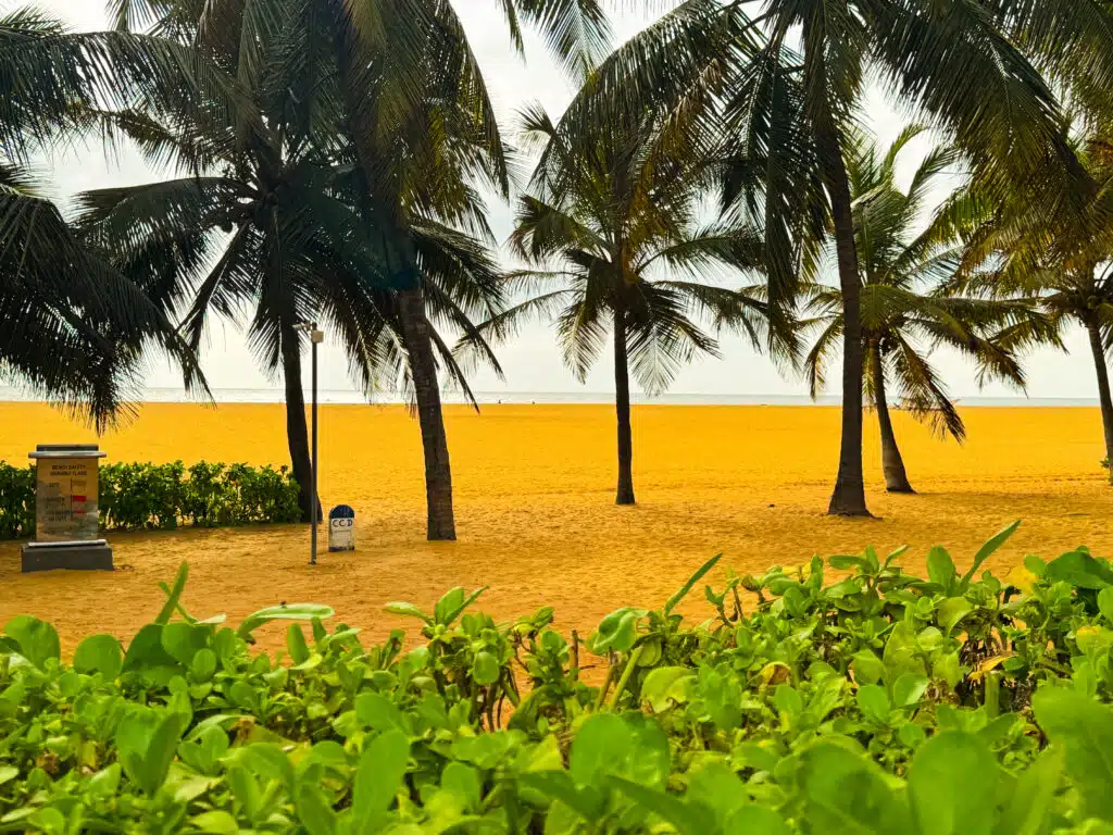 Meteo in Sri Lanka ad agosto: stagione balneare sulla costa orientale e guida di viaggio regionale 5 Palme e sabbia dorata lungo la spiaggia della costa occidentale dello Sri Lanka