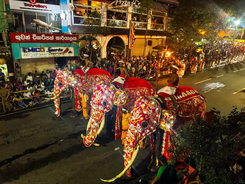 Meteo in Sri Lanka ad agosto: stagione balneare sulla costa orientale e guida di viaggio regionale 3 Processione del festival Kandy Esala Perahera con ballerini tradizionali ed elefanti decorati in Sri Lanka