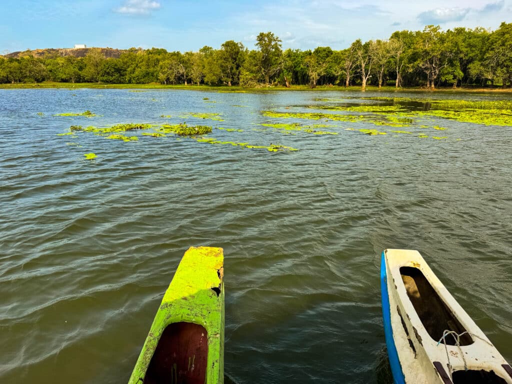 Oude ruïnes en jungielandschap in de Culturele Driehoek van Sri Lanka nabij Sigiriya en Polonnaruwa