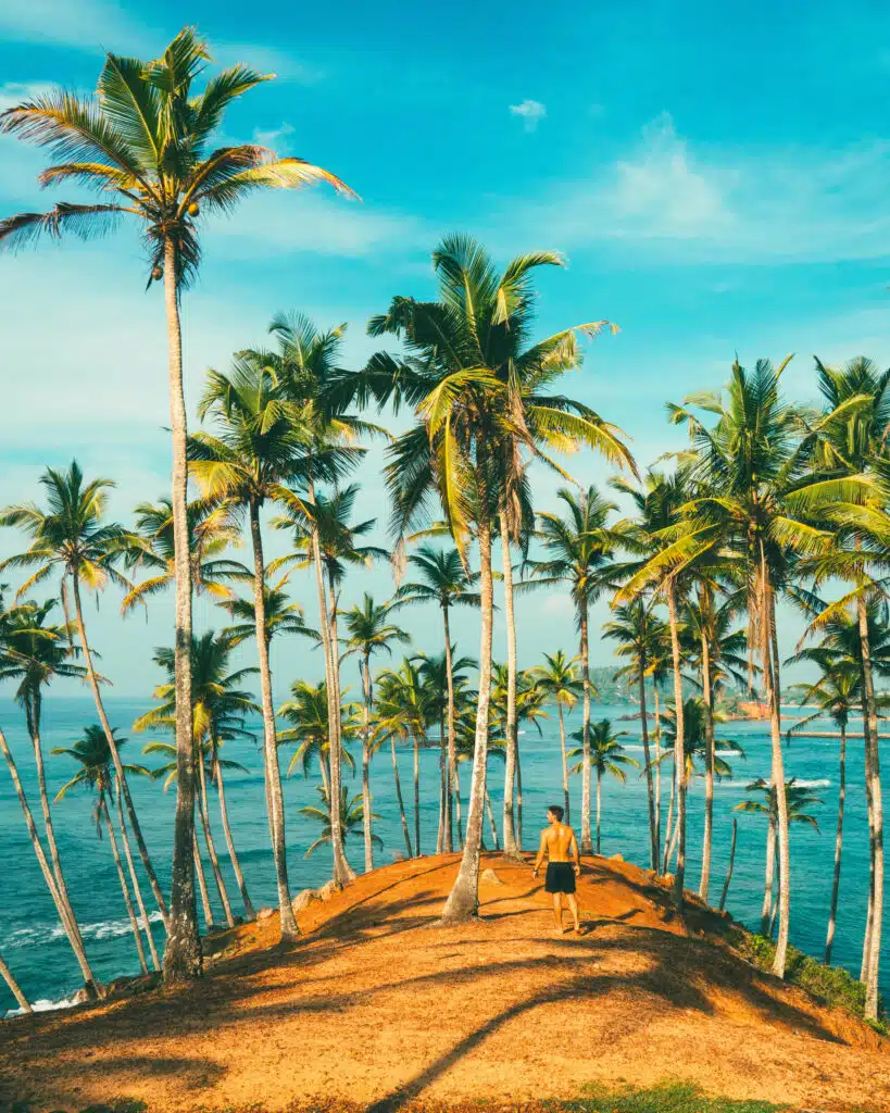 Weather in Sri Lanka in March: Complete Travel Guide & Climate Overview 7 Palm trees and ocean views at Coconut Tree Hill viewpoint in Mirissa on Sri Lanka’s south coast.