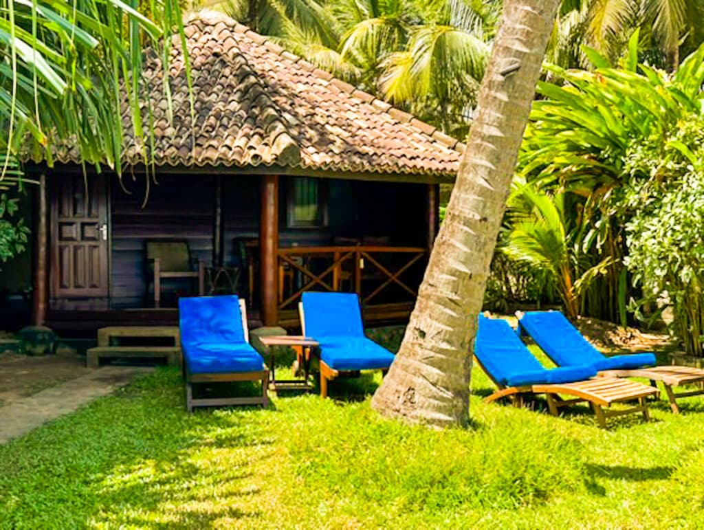 Itinerario di 7 giorni in Sri Lanka: Kandy, la regione collinare e la costa 16 cabana sulla spiaggia in legno con lettini blu circondata da un giardino tropicale a Unawatuna