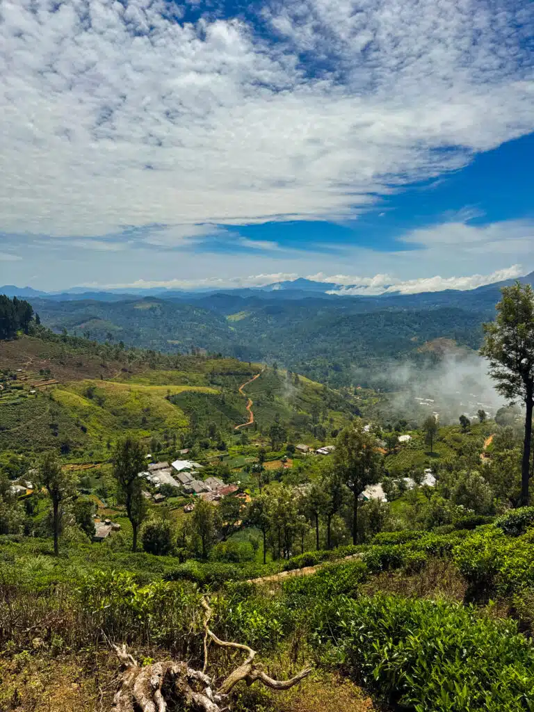 Le migliori cose da fare in Sri Lanka: le esperienze più gratificanti sull'isola 10 Vista panoramica sulle colline verdi coperte di tè e su un piccolo villaggio da una piantagione di tè in Sri Lanka