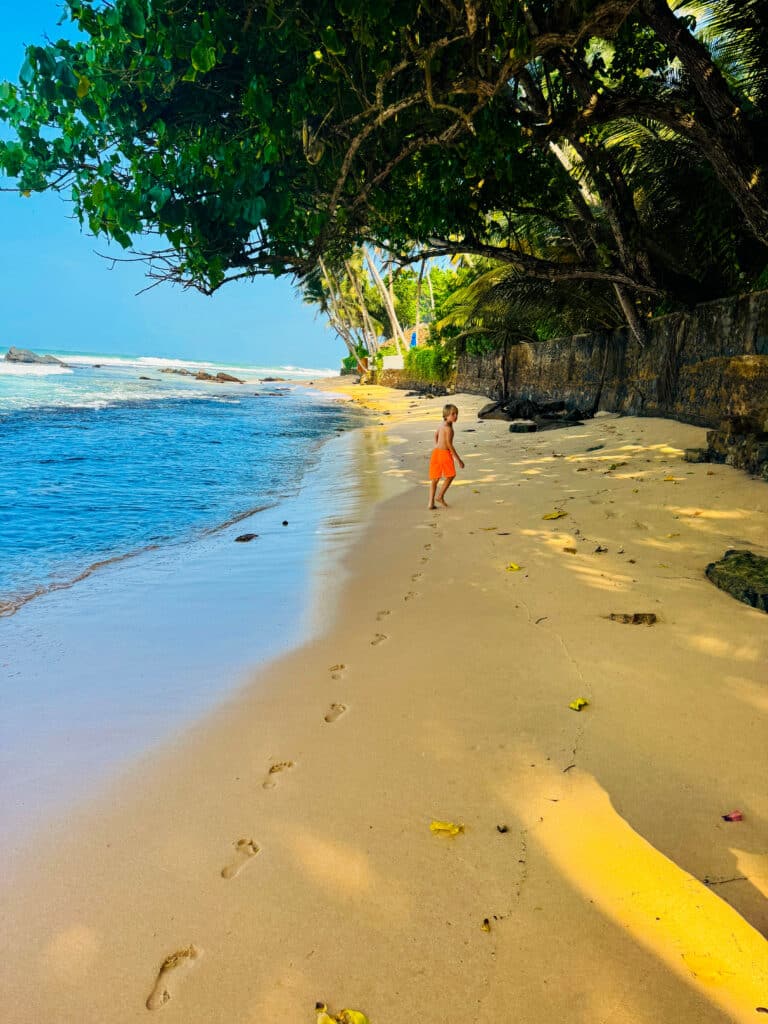 Itinerario di 7 giorni in Sri Lanka: Kandy, la regione collinare e la costa 11 ragazzino che cammina da solo su una tranquilla spiaggia ombreggiata dalle palme a Unawatuna Sri Lanka