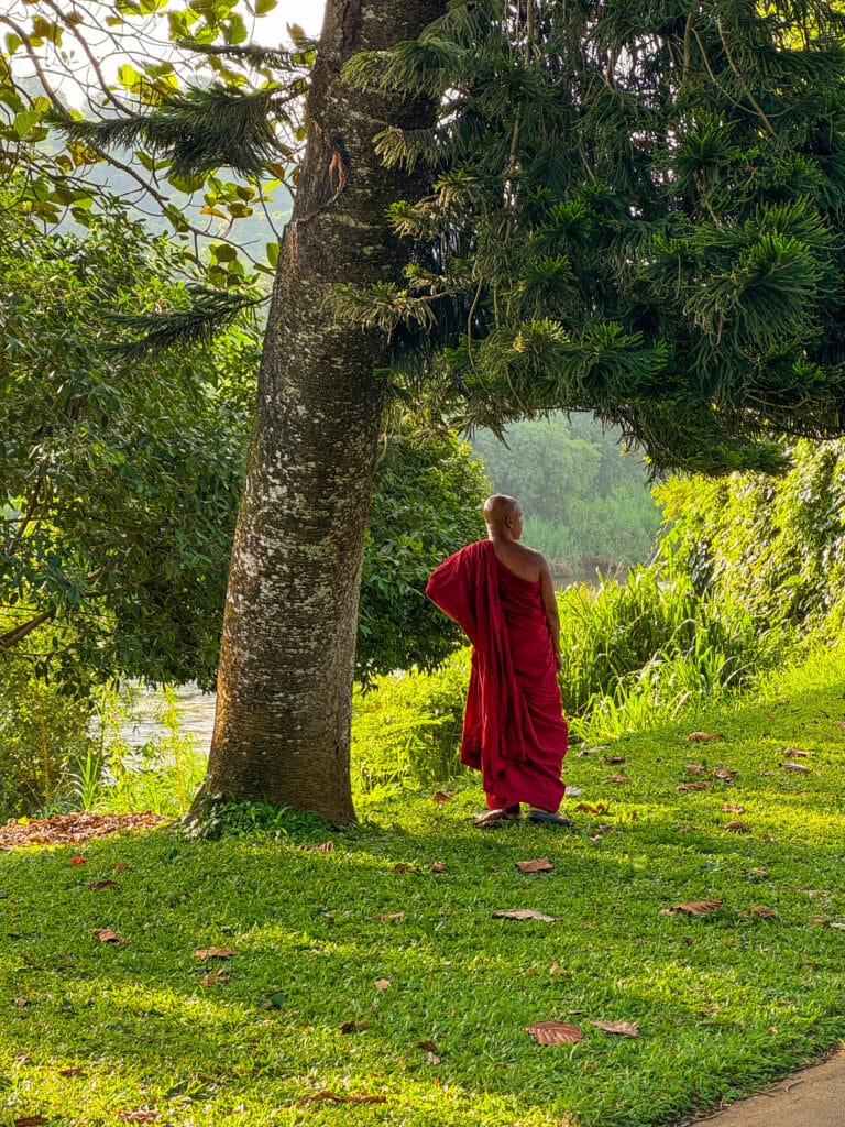 Itinerario di 7 giorni in Sri Lanka: Kandy, la regione collinare e la costa 2 monaco buddista in abiti rossi in piedi sotto un grande albero vicino a un lago a Kandy, Sri Lanka