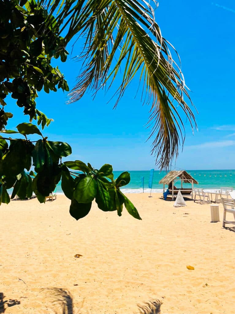Best Beaches in Sri Lanka: A Guide by Coast & Season 9 Uppuveli beach palmlined shore with clear water at sunrise Trincomalee Sri Lanka