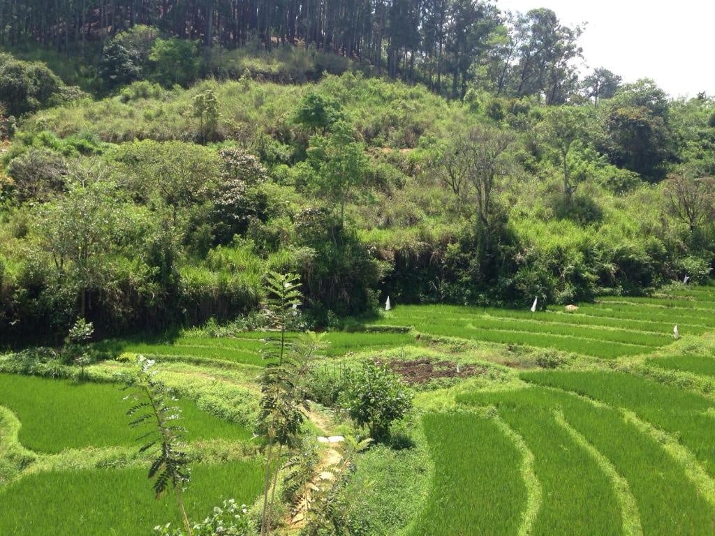 Best Budget Hotels in Sri Lanka: Top Picks Under $100 (+ Best Value Stays) 12 Arawe Retreat Ella villa with valley and tea estate views in the Ella hills