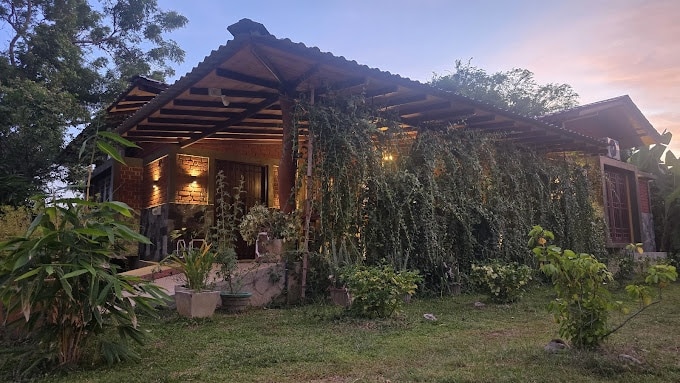 Best Safari Lodges in Sri Lanka: Where to Stay Near Yala, Udawalawe, Wilpattu & Minneriya 20 Ceylon Resort Wilpattu best budget option near park clean comfortable affordable rooms