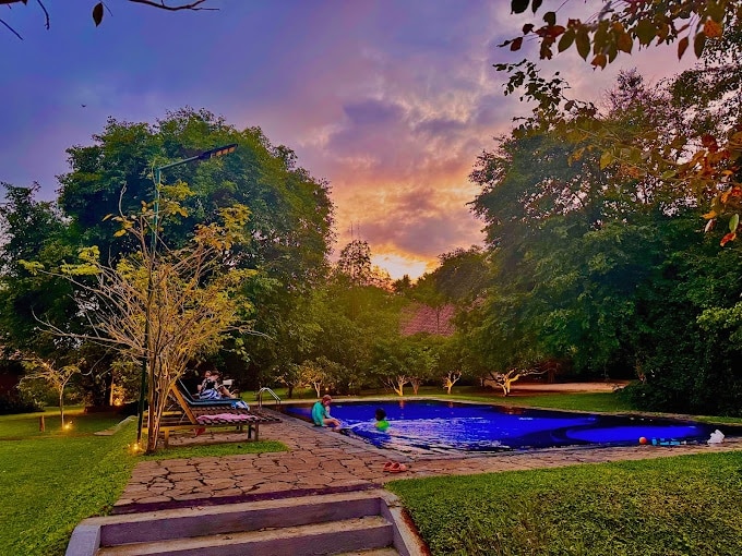I migliori hotel a Sigiriya: le soluzioni ideali per ogni budget 14 Foresta Resort Sigiriya hotel economico con piscina e ristorante in giardino