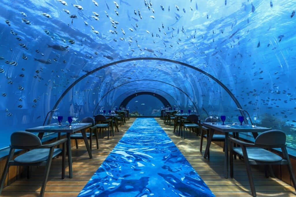 How to Choose a Maldives Resort: The Complete Decision Guide 18 interior of 5.8 Undersea Restaurant at Hurawalhi Island Resort Maldives with panoramic underwater views and dining tables