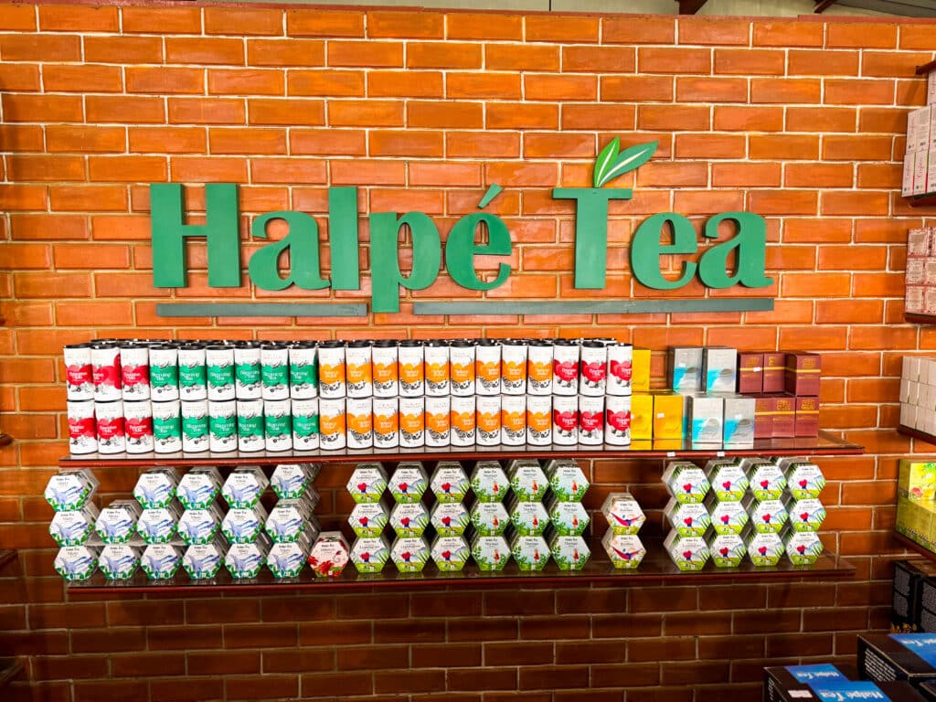 Tea Plantation Tours in Sri Lanka: Best Areas & Stays 5 Tea tasting session with multiple grades poured in small white cups