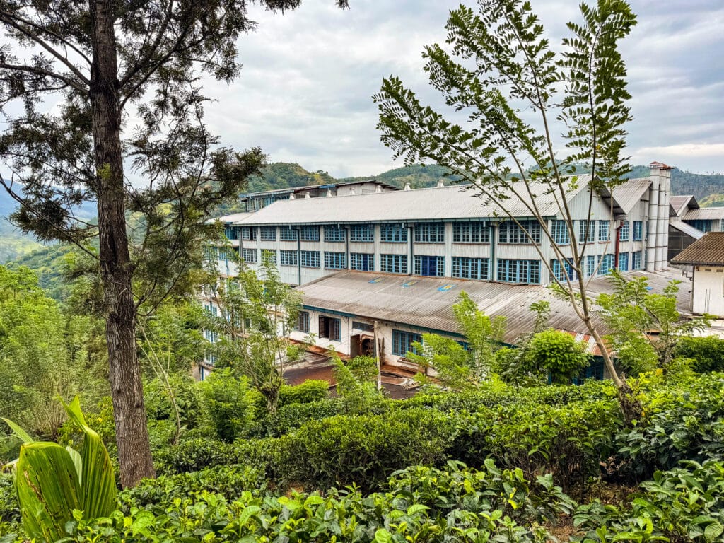 Tea Plantation Tours in Sri Lanka: Best Areas & Stays 4 Tea processing machinery inside a working Sri Lanka tea factory