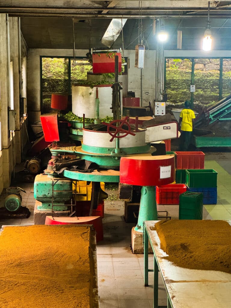 Tea Plantation Tours in Sri Lanka: Best Areas & Stays 11 Green tea estate hillside near Kandy with valley views in morning light