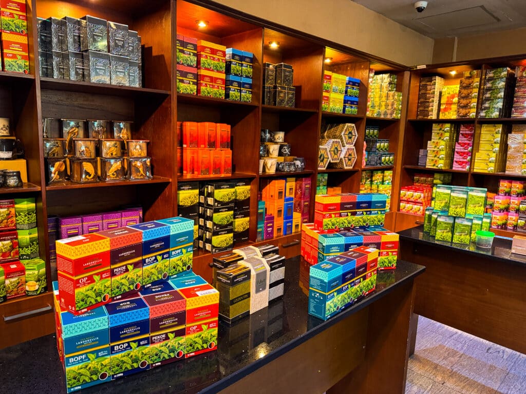 Tea Plantation Tours in Sri Lanka: Best Areas & Stays 7 Visitors walking through Labookellie tea estate on the Kandy Nuwara Eliya road
