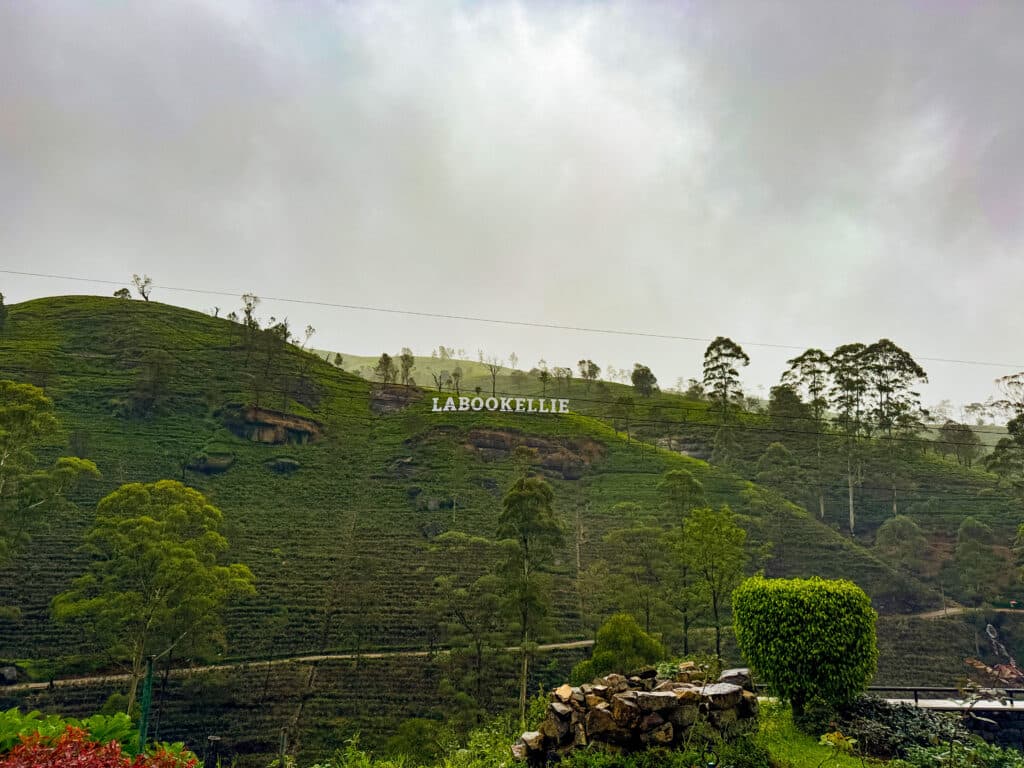 Sri Lanka Hill Country: Tea Plantations, Train Rides & Cool Climate Escapes 12 Gregory Lake in Nuwara Eliya with calm water and green hillside backdrop on a misty morning