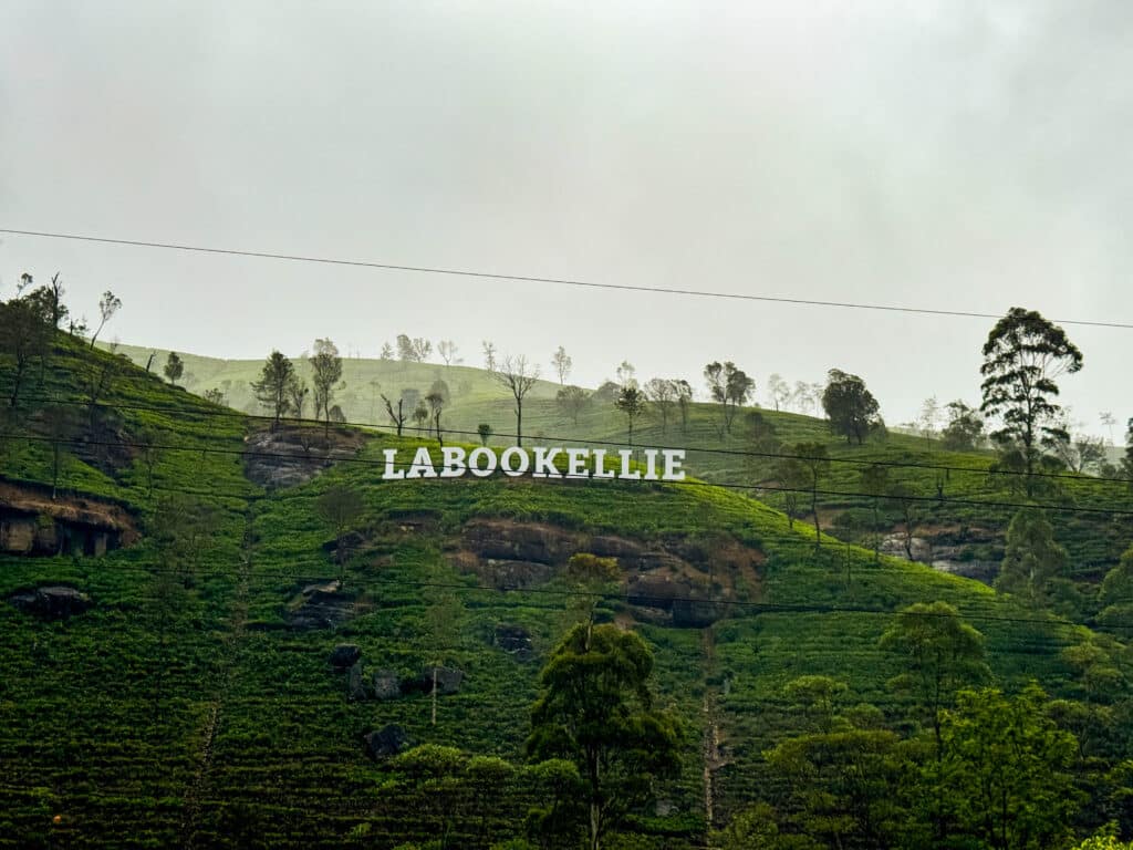 Tea Plantation Tours in Sri Lanka: Best Areas & Stays 6 Misty tea plantation hills surrounding Nuwara Eliya at high altitude