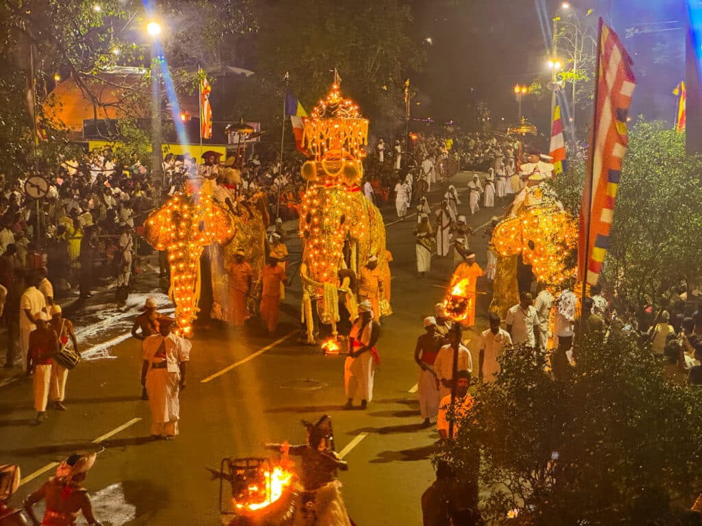 Le Maldive valgono la spesa? Un confronto onesto con lo Sri Lanka 7 elefanti decorati e illuminati nella processione del Kandy Esala Perahera a Kandy in Sri Lanka di notte