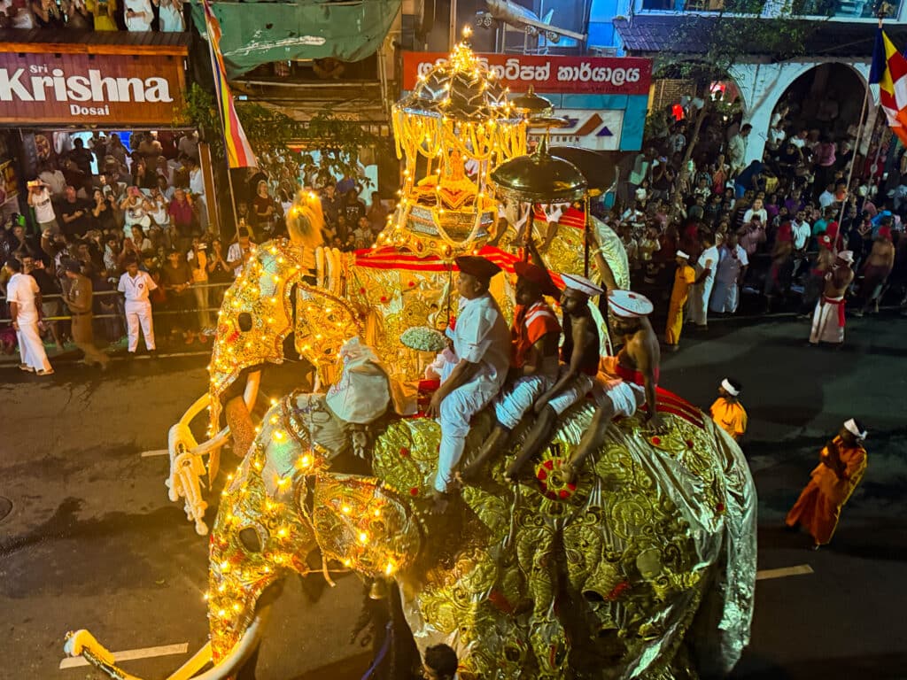 Esala Perahera Festival in Kandy: What It Is, How It Works & Where to Stay 1 Esala Perahera procession at night with decorated elephants in Kandy