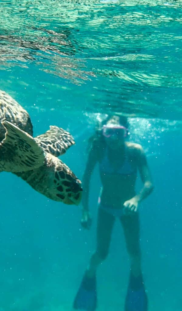 Maldive con bambini: resort o isole locali — Qual è la scelta giusta per la tua famiglia? 9 Tartaruga marina che nuota vicino agli amanti dello snorkeling nelle acque limpide delle Maldive