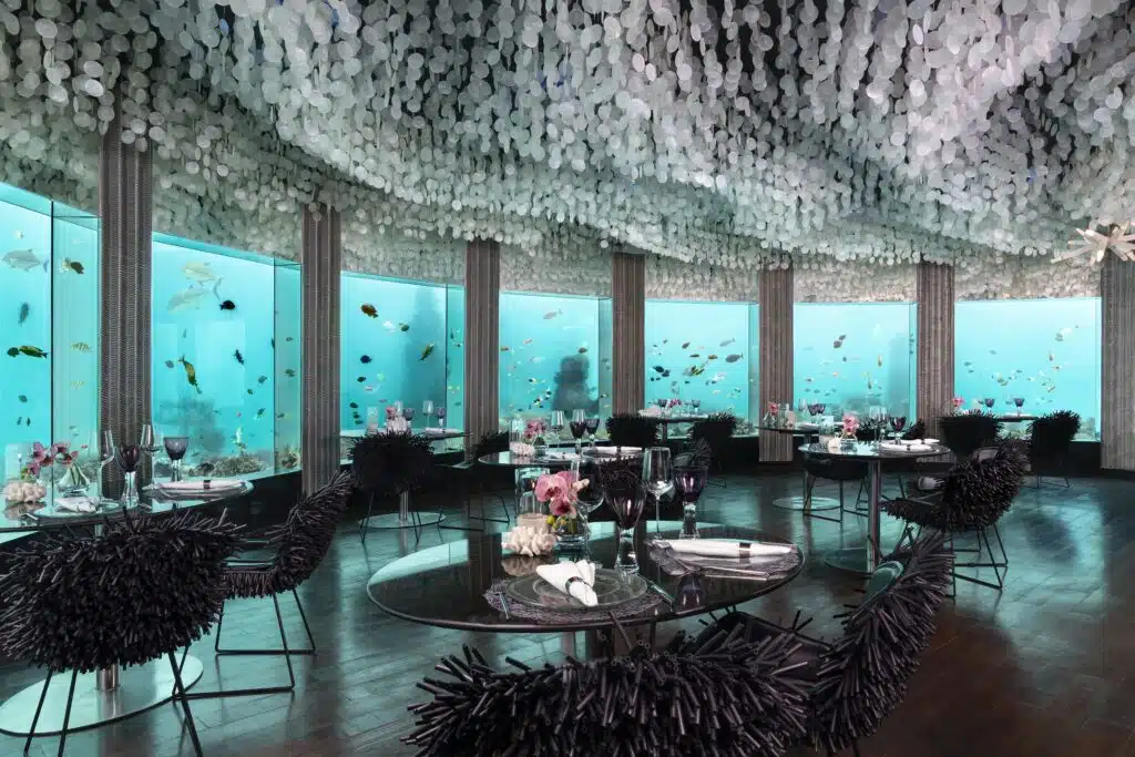 モルディブの水中レストランがあるリゾート:一生に一度のユニークな食事体験ができる8選 7 Niyama Private Islands MaldivesにあるSubsix水中レストラン。ガラス張りの壁からリーフの景色が楽しめます。