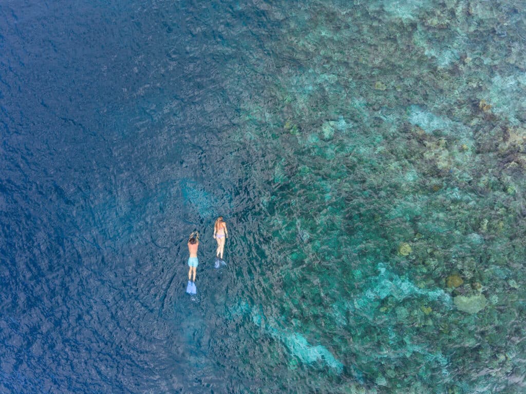 How to Choose a Maldives Resort: The Complete Decision Guide 14 aerial view of two snorkellers over coral reef edge at Baros Maldives in deep blue water