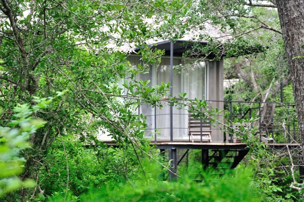 Best Safari Lodges in Sri Lanka: Where to Stay Near Yala, Udawalawe, Wilpattu & Minneriya 19 The Backwaters Lodge Wilpattu comfortable well-run option with strong reputation for safari access