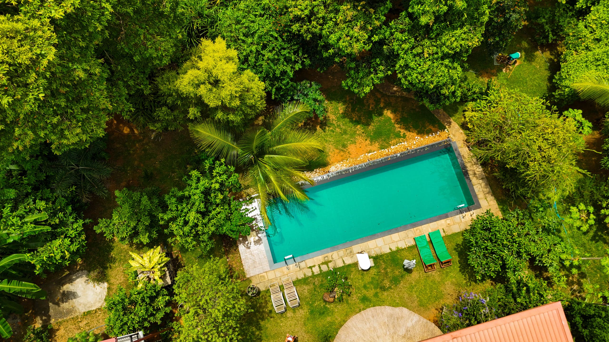 Best Budget Hotels in Sri Lanka: Top Picks Under $100 (+ Best Value Stays) 5 Vimanra Udawalawe budget safari lodge with open savannah and elephant habitat