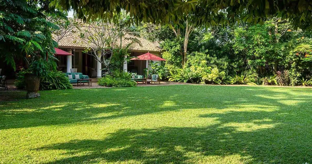 I migliori boutique hotel in Sri Lanka: 10 strutture dal carattere autentico 21 La dimora coloniale The Wallawwa vicino all'aeroporto di Negombo, i migliori boutique hotel in Sri Lanka