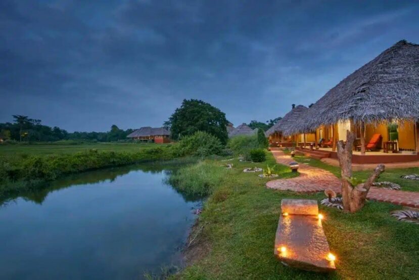I migliori hotel benessere in Sri Lanka: le scelte top per Ayurveda, yoga e riposo profondo 8 amuna ayurveda 1