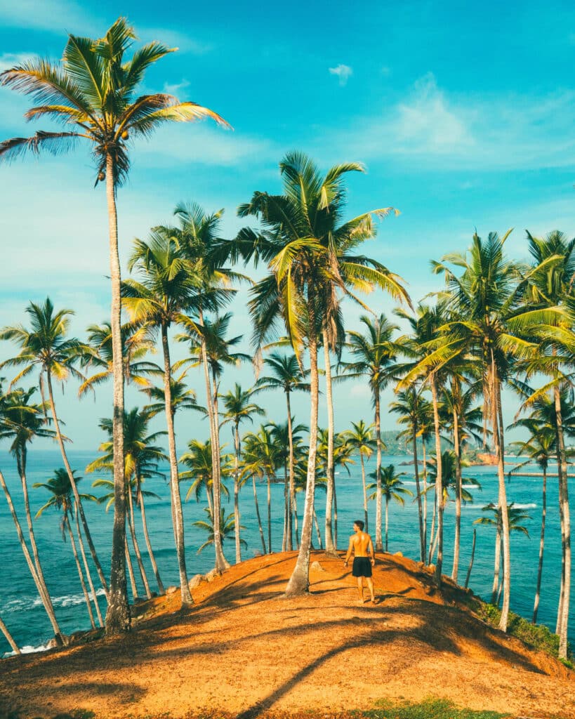 Best Beaches in Sri Lanka: A Guide by Coast & Season 4 Mirissa beach crescent of sand with palm trees and turquoise water at sunset Sri Lanka