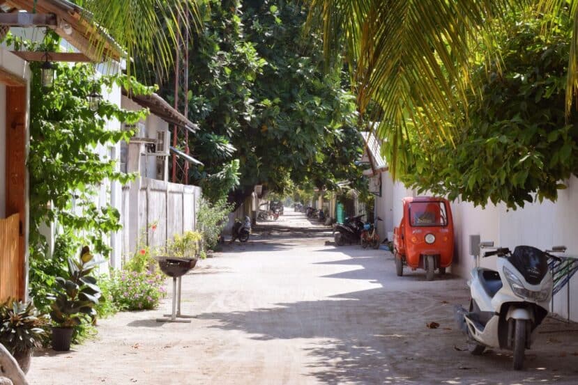 Thoddoo Maldives: The Complete Guide to the Watermelon Island 2 quiet sandy lane lined with palms, greenery and white walls on the local island of Thoddoo