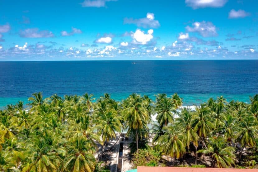 Thoddoo Maldives: The Complete Guide to the Watermelon Island 1 elevated view of dense green vegetation and palms above a white beach and turquoise ocean on Thoddoo
